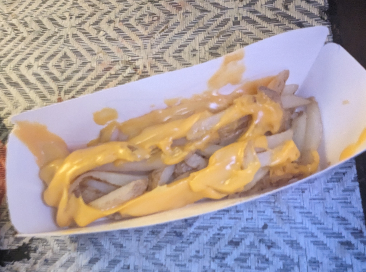 Sonic Frygate: Is There a French Fry Shrinkage? Or Is This Just Terrible Food Service? This is a 'Medium' french fry at a Sonic Drive in.