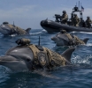 Dolphin Uprising and 5 other Top Stories